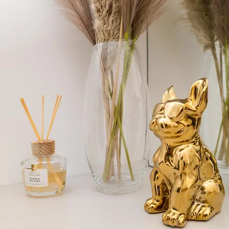 Daire Virgin River Deluxe By Bookinghost